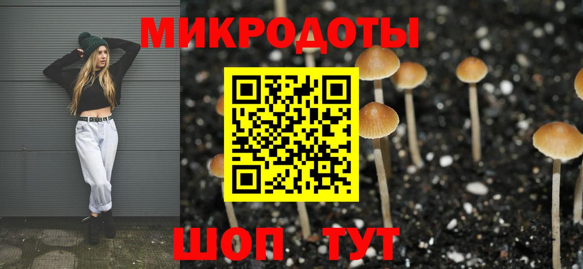 Железноводск  Псилоцибиновые грибы Psilocybine cubensis  Вход с VPN 